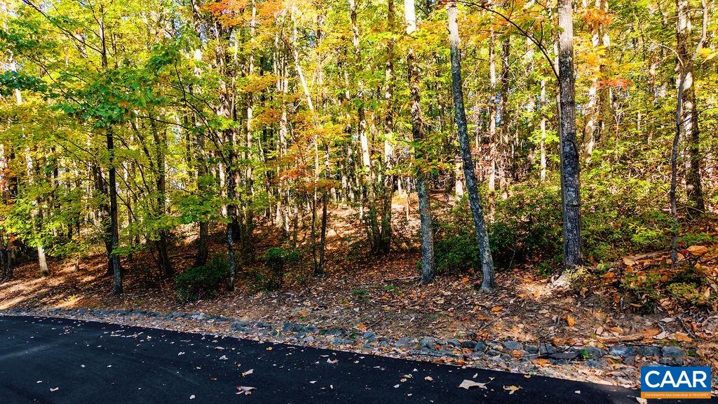 Lot 3 OAKCREST LN
