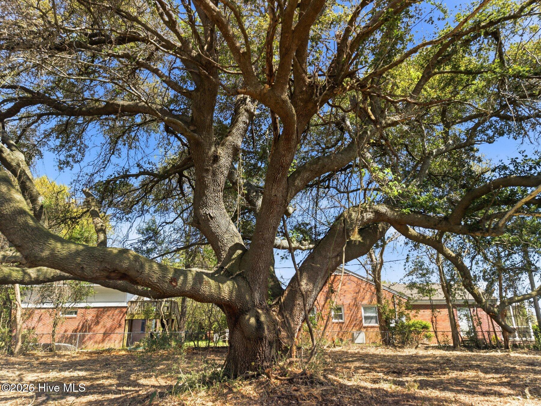 8612 Bald Eagle Lane