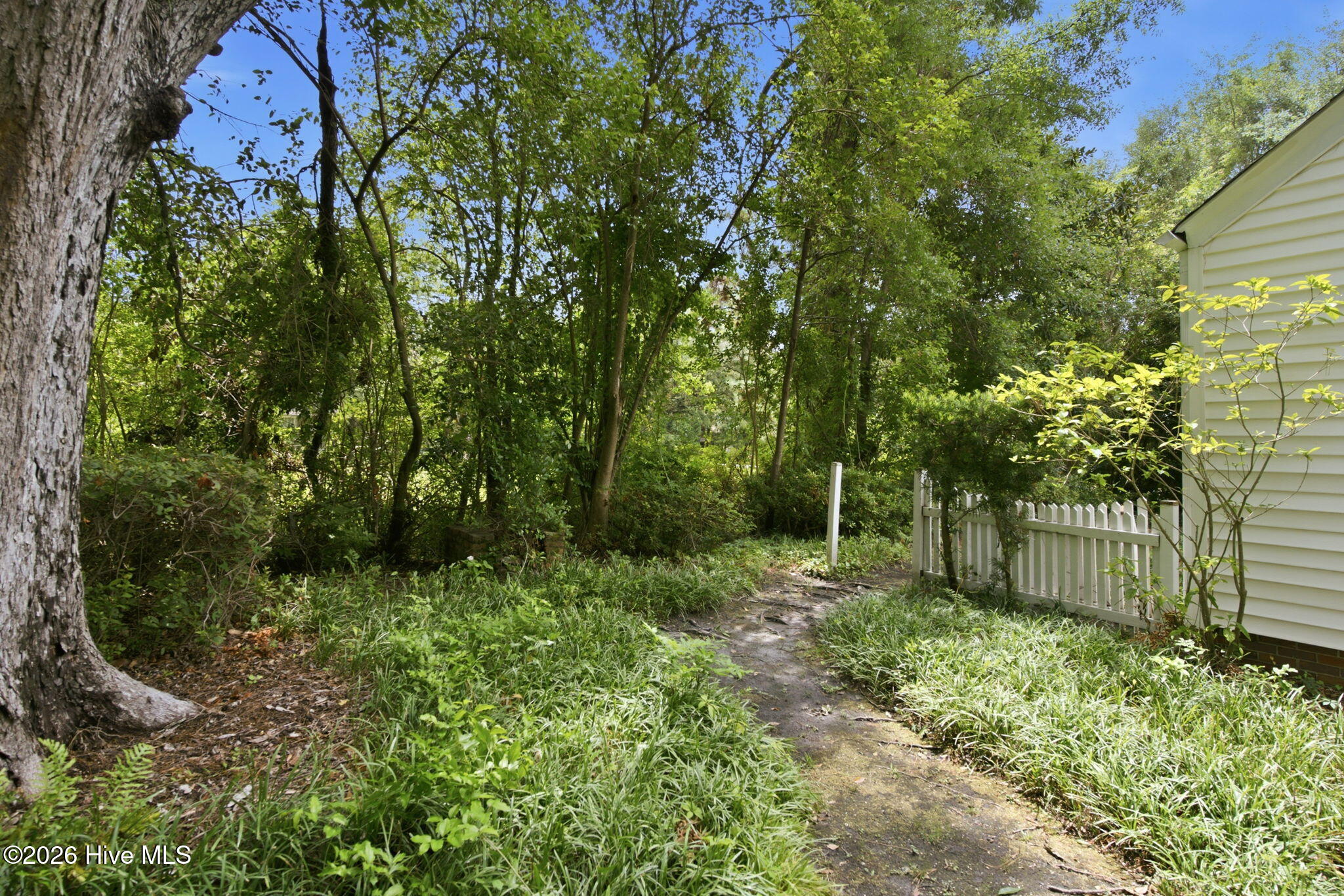 4201 Wrightsville Avenue