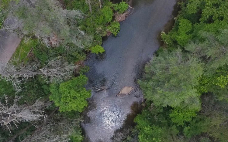 LOT 5 Rivers End Trail