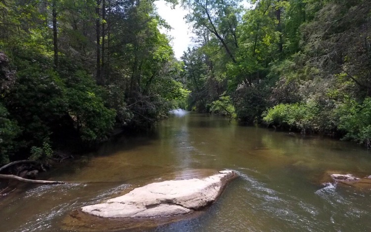 LOT 5 Rivers End Trail