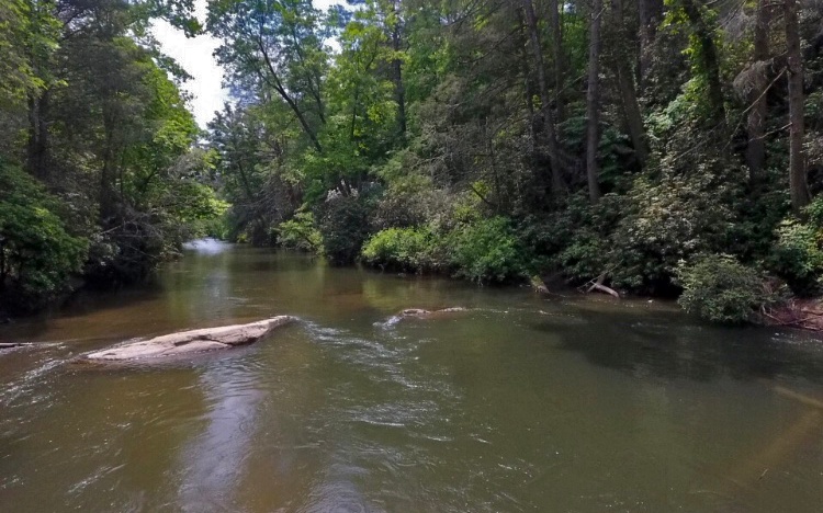 LOT 5 Rivers End Trail