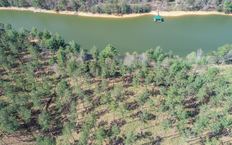 LT305 Thirteen Hundred