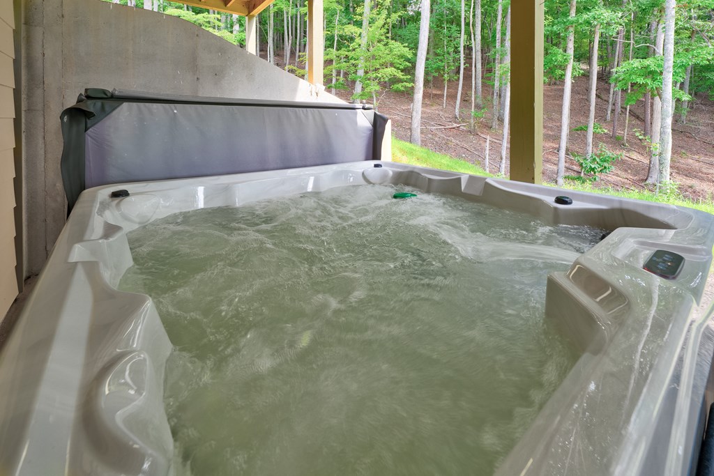 167 Big Valley Overlook