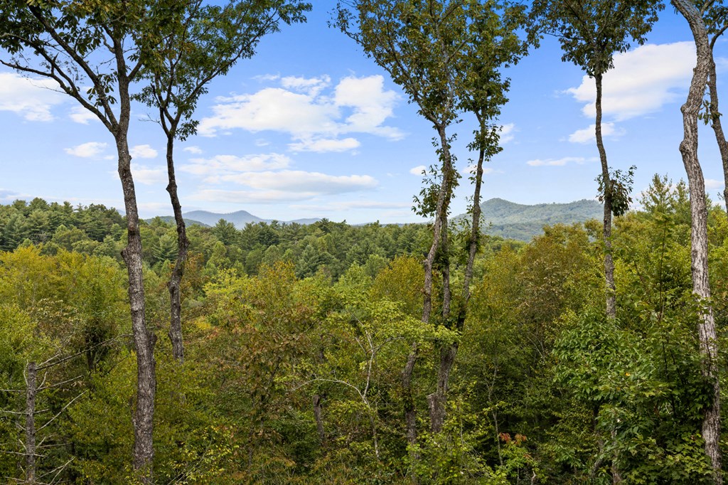 Lot B Arp Road