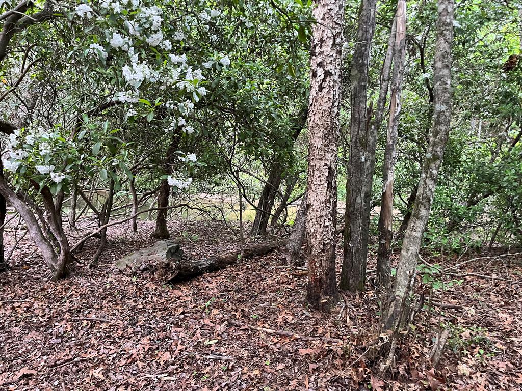 35 Indian Trace, Mineral Bluff