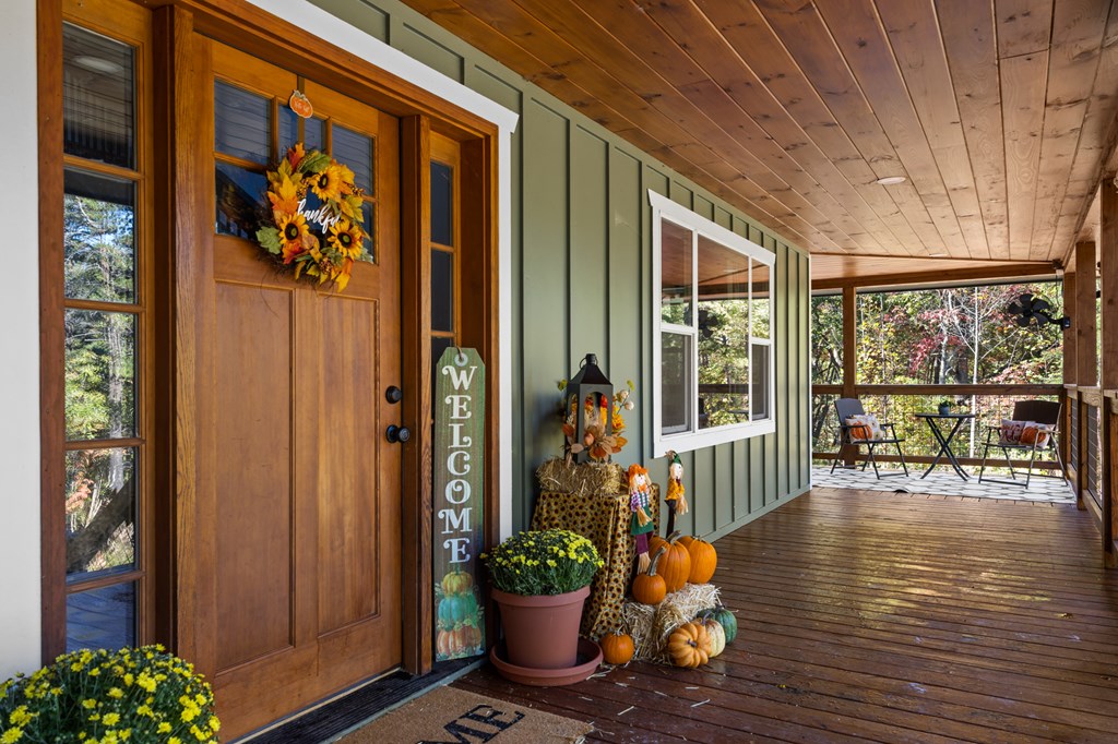 35 Indian Trace, Mineral Bluff