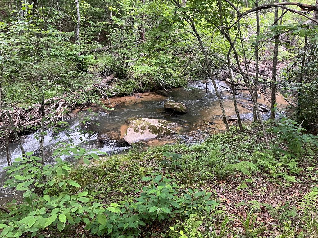 35 Indian Trace, Mineral Bluff