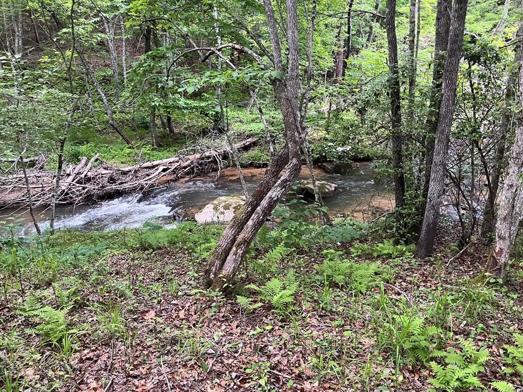 35 Indian Trace, Mineral Bluff