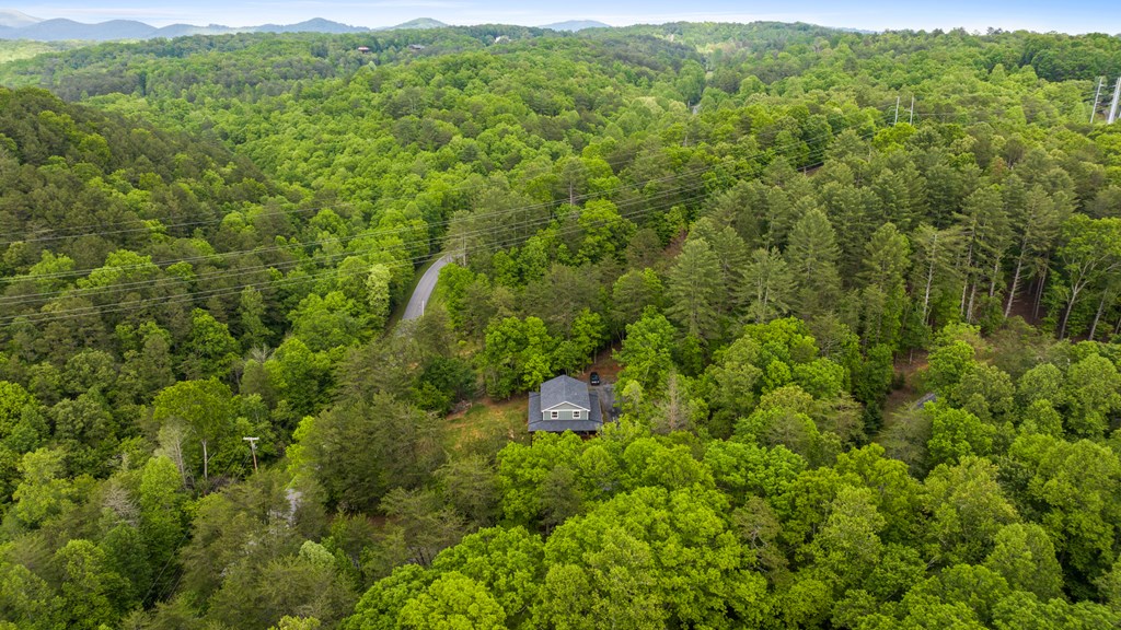 35 Indian Trace, Mineral Bluff