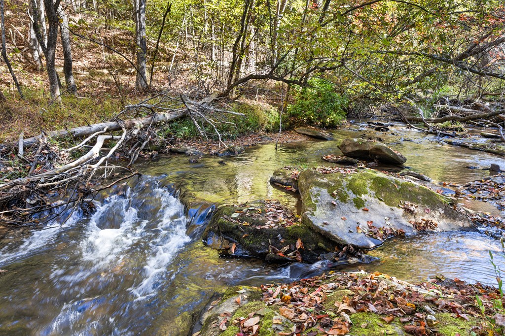 35 Indian Trace, Mineral Bluff