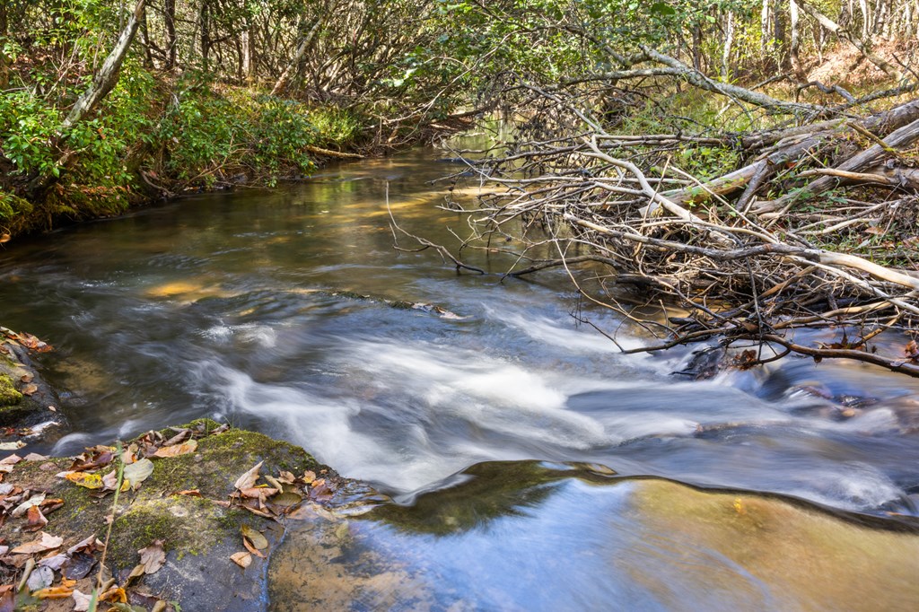 35 Indian Trace, Mineral Bluff