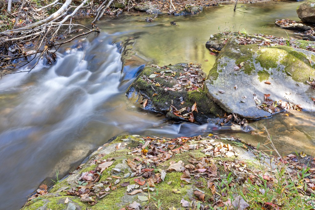 35 Indian Trace, Mineral Bluff