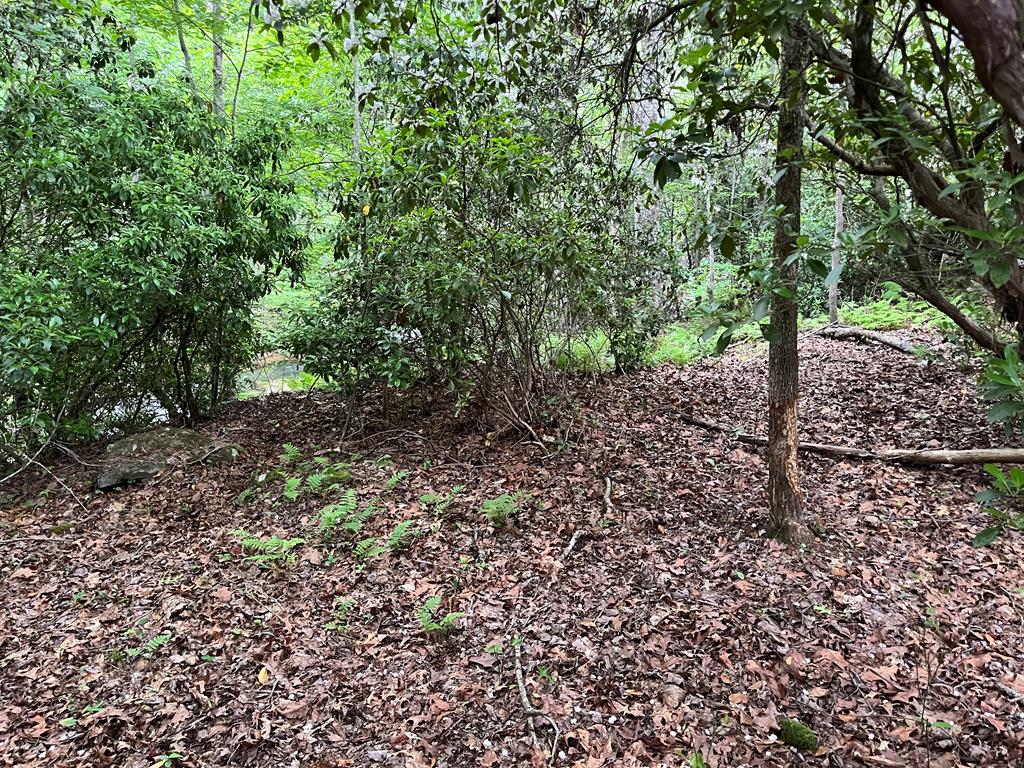 35 Indian Trace, Mineral Bluff