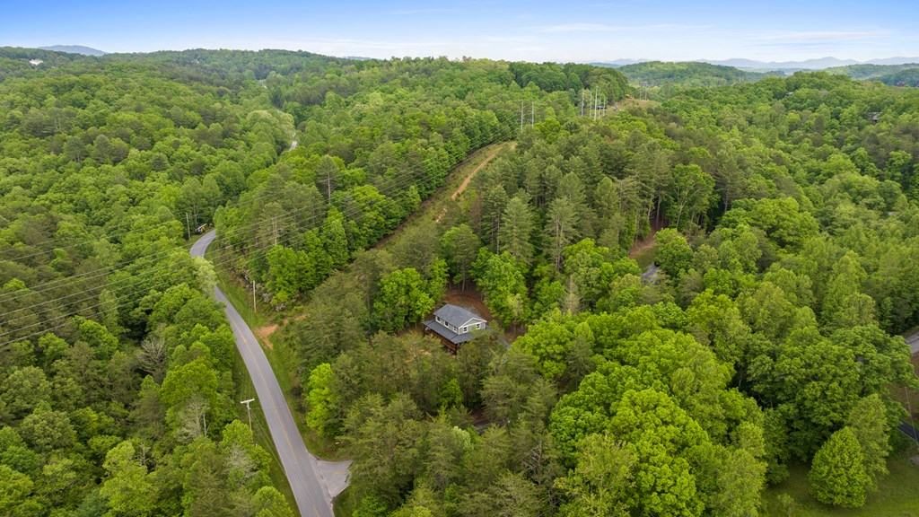 35 Indian Trace, Mineral Bluff
