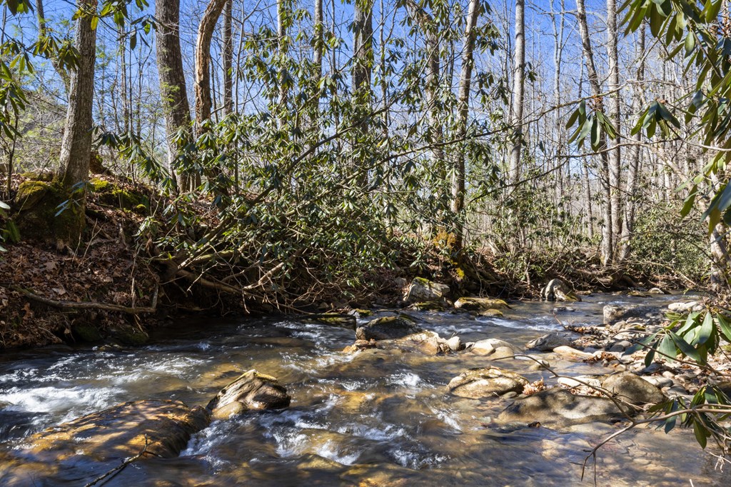 106 Little Rock Creek Road