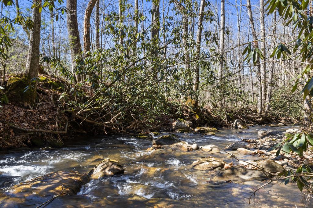 106 Little Rock Creek Road