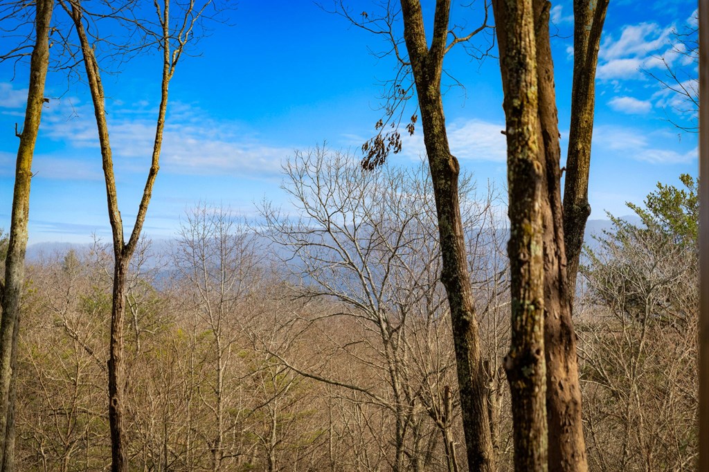 275 N Moreland Drive