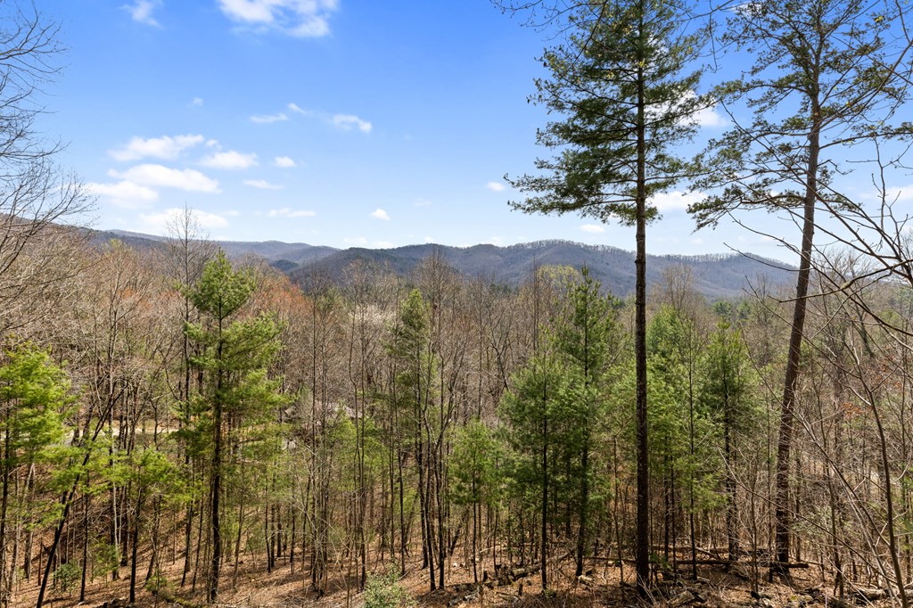 272 Laurel Mountain Road