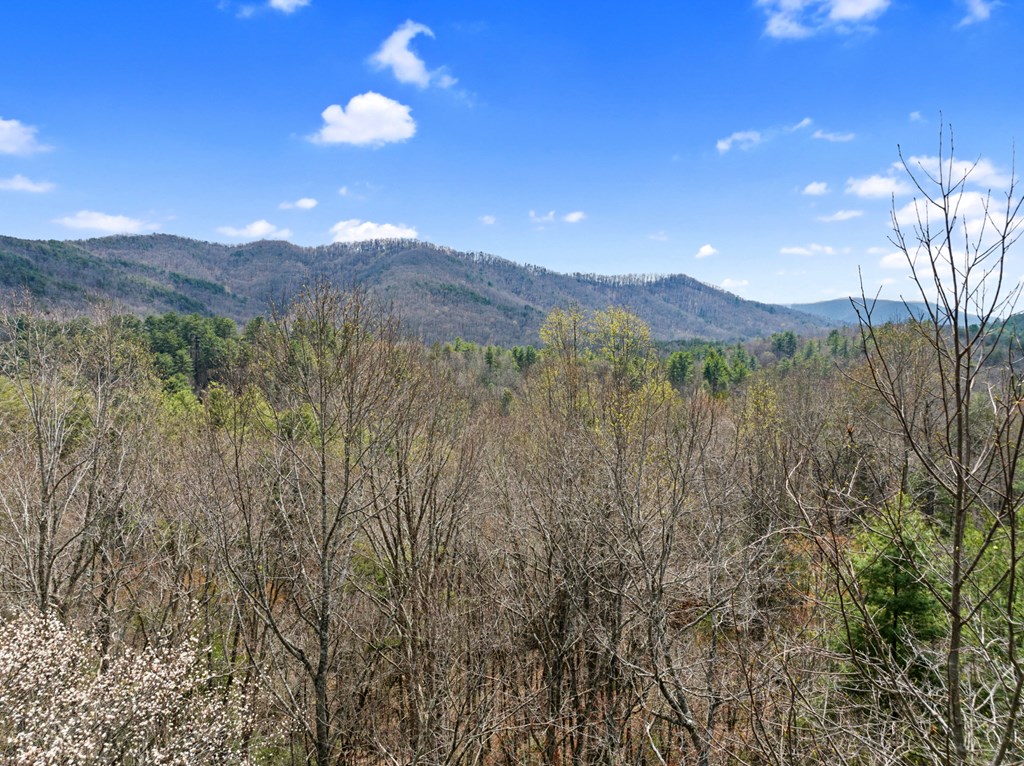 272 Laurel Mountain Road