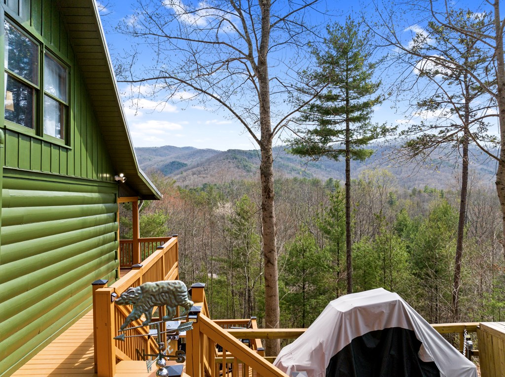 272 Laurel Mountain Road