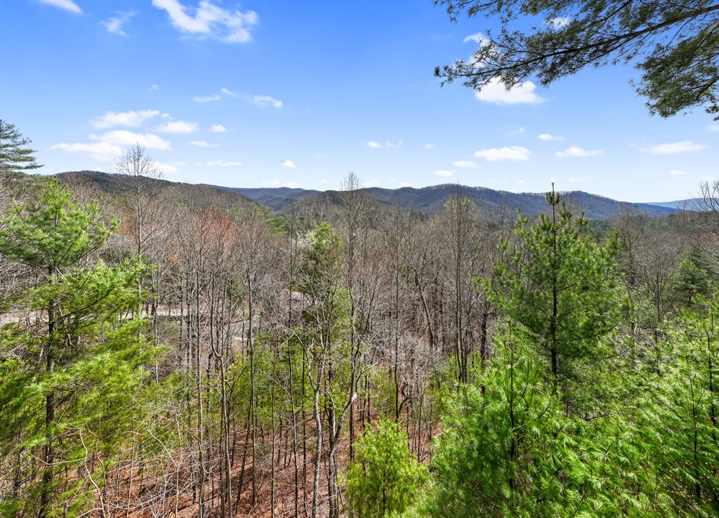 272 Laurel Mountain Road