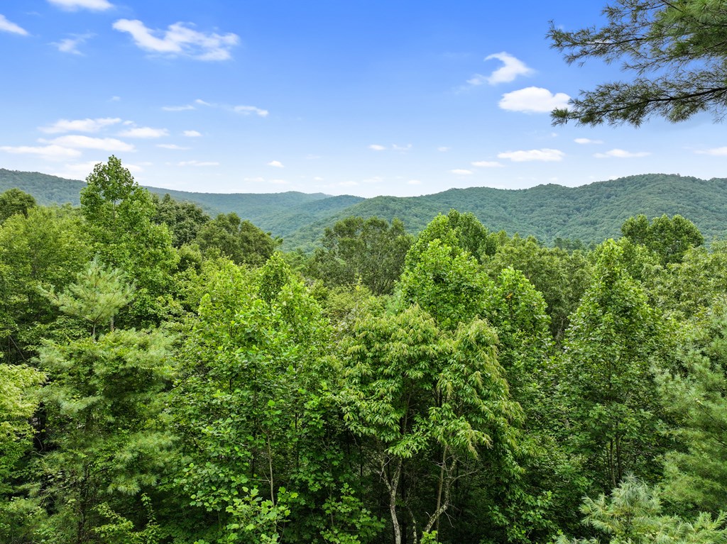 272 Laurel Mountain Road