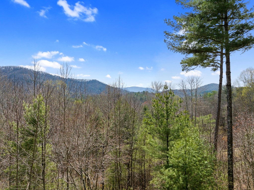 272 Laurel Mountain Road