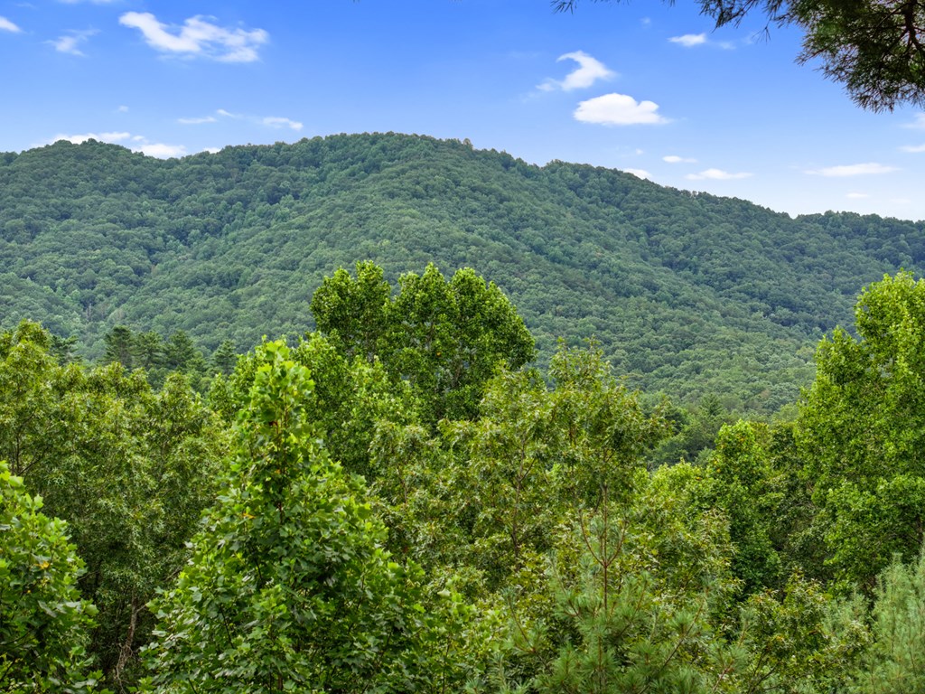 272 Laurel Mountain Road