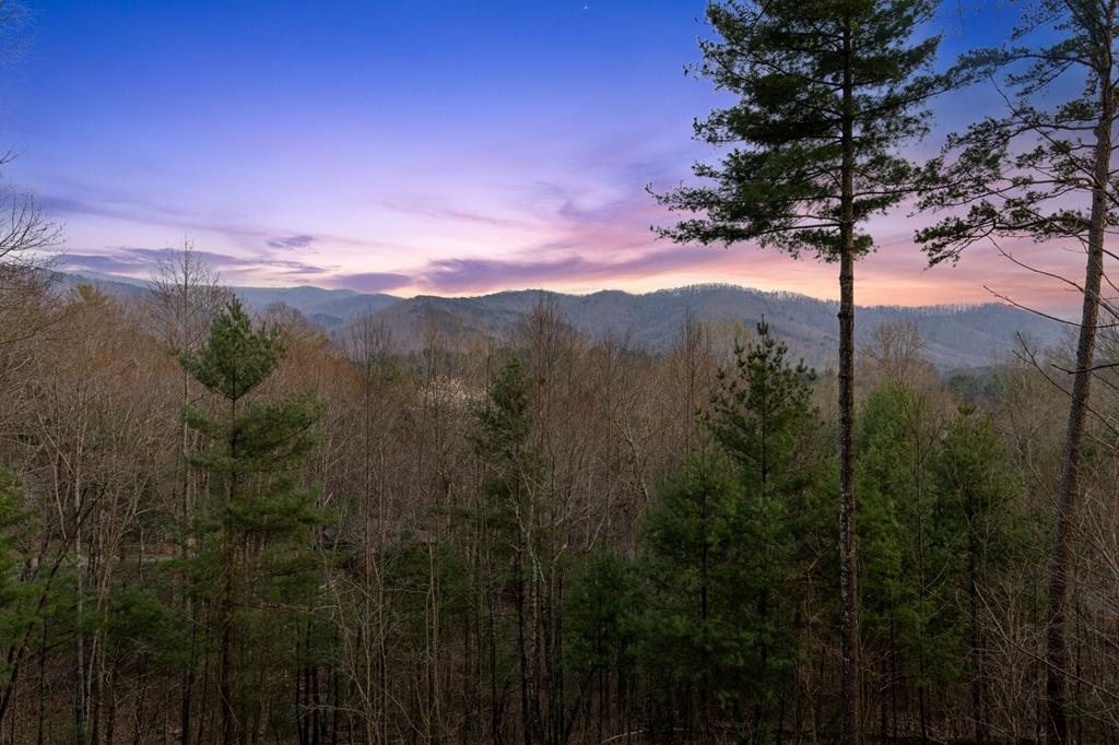 272 Laurel Mountain Road