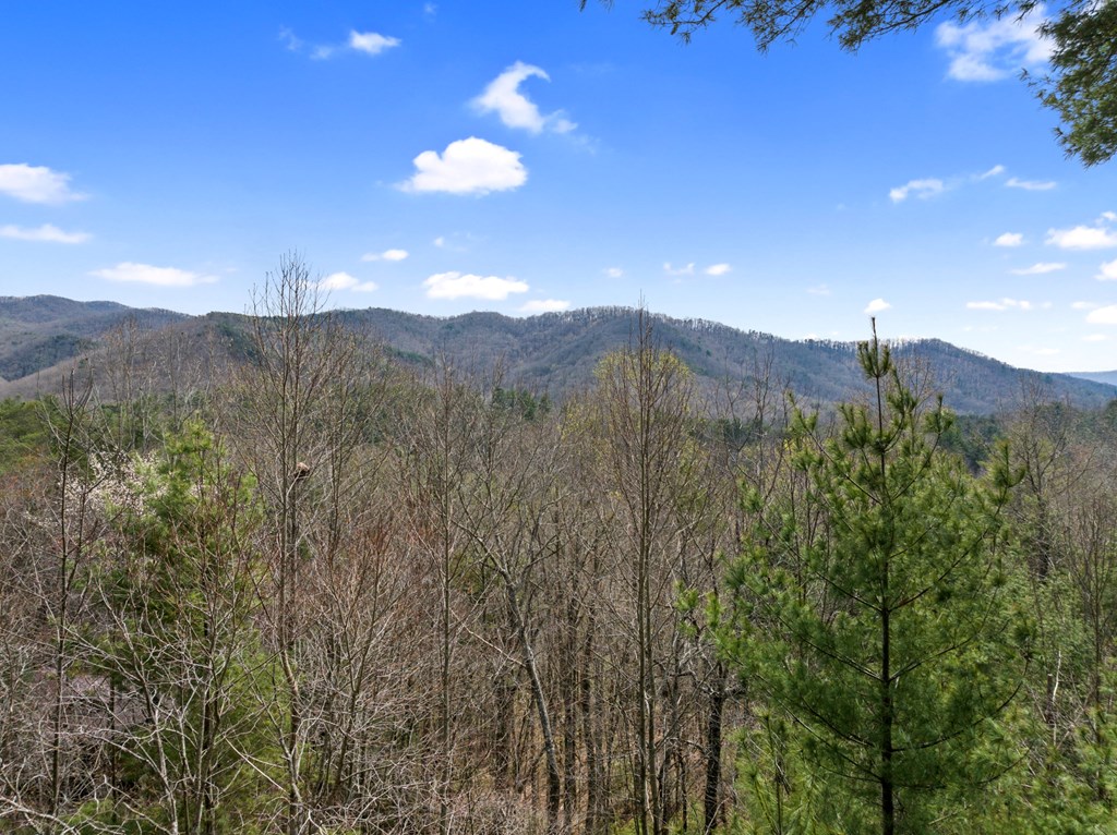 272 Laurel Mountain Road