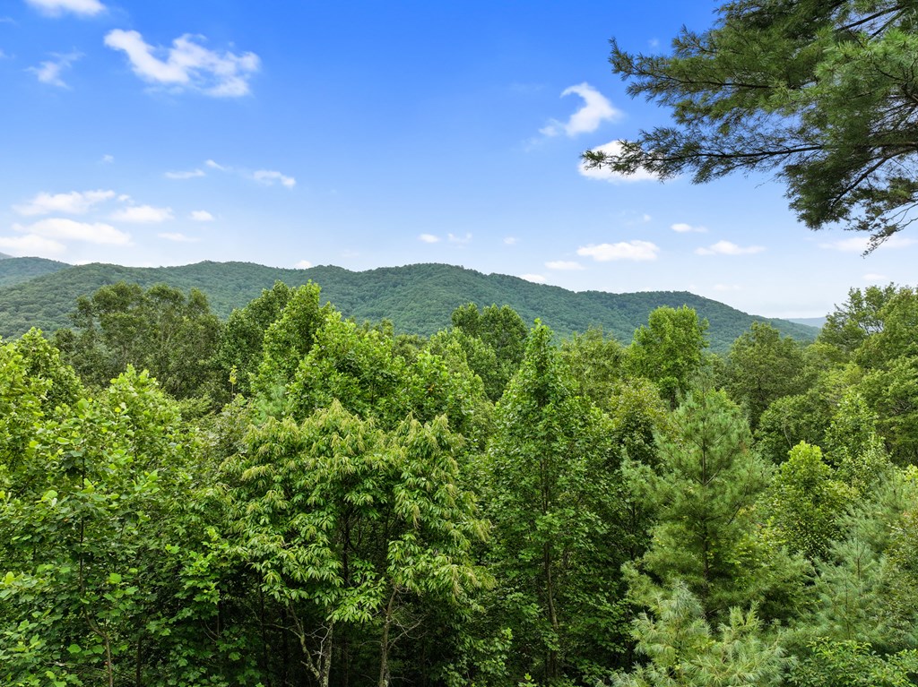 272 Laurel Mountain Road