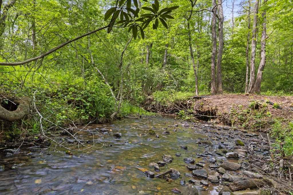 148 Brookwood Drive