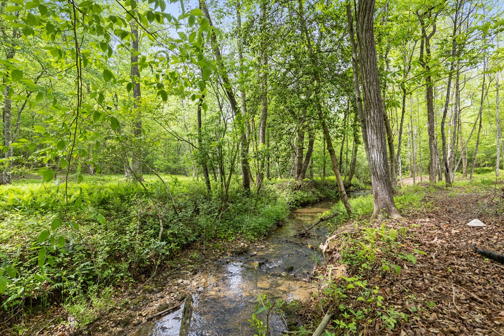 148 Brookwood Drive