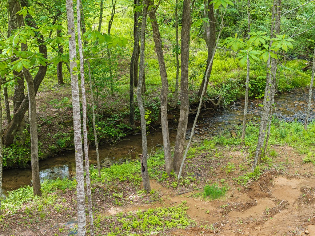 148 Brookwood Drive
