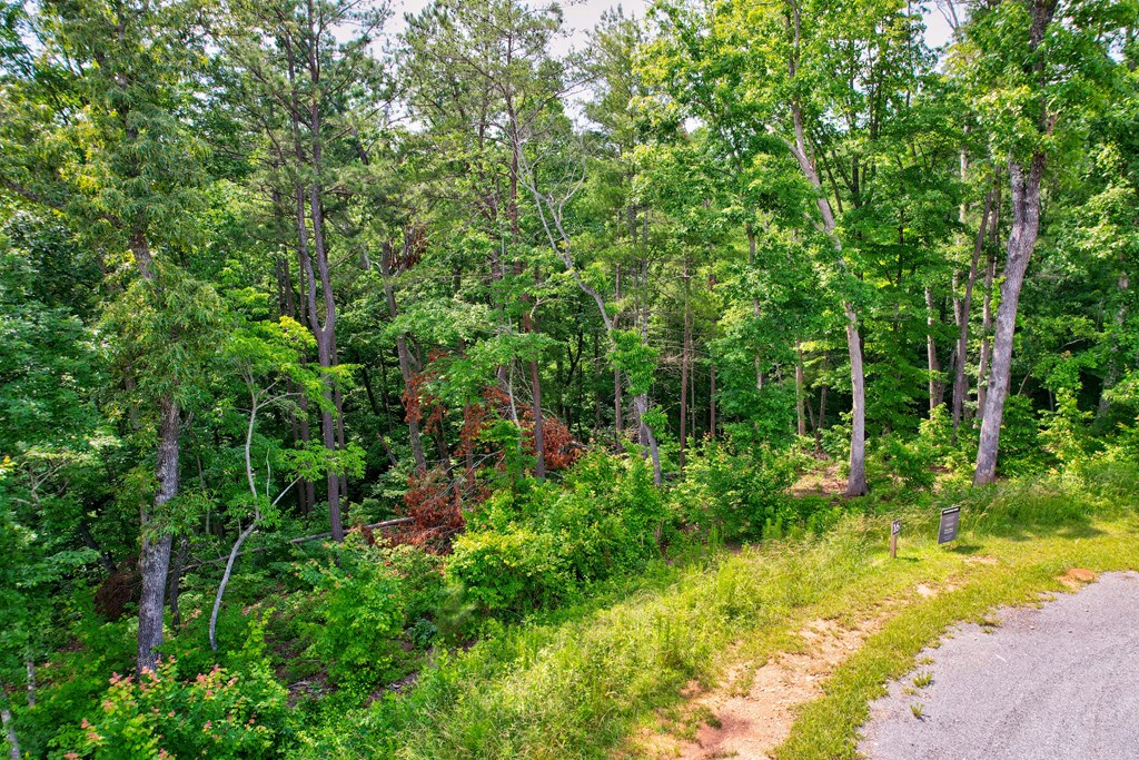 Lot 16 Lake Top Lane