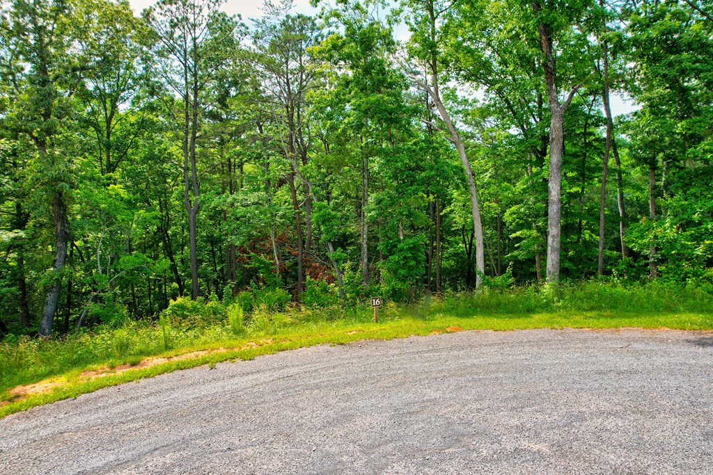 Lot 16 Lake Top Lane