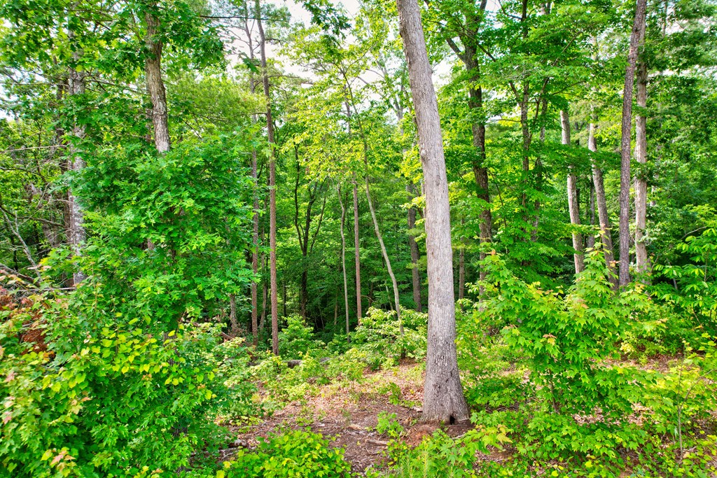 Lot 16 Lake Top Lane