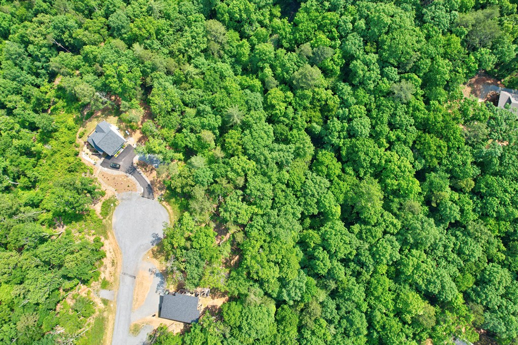 Lot 16 Lake Top Lane