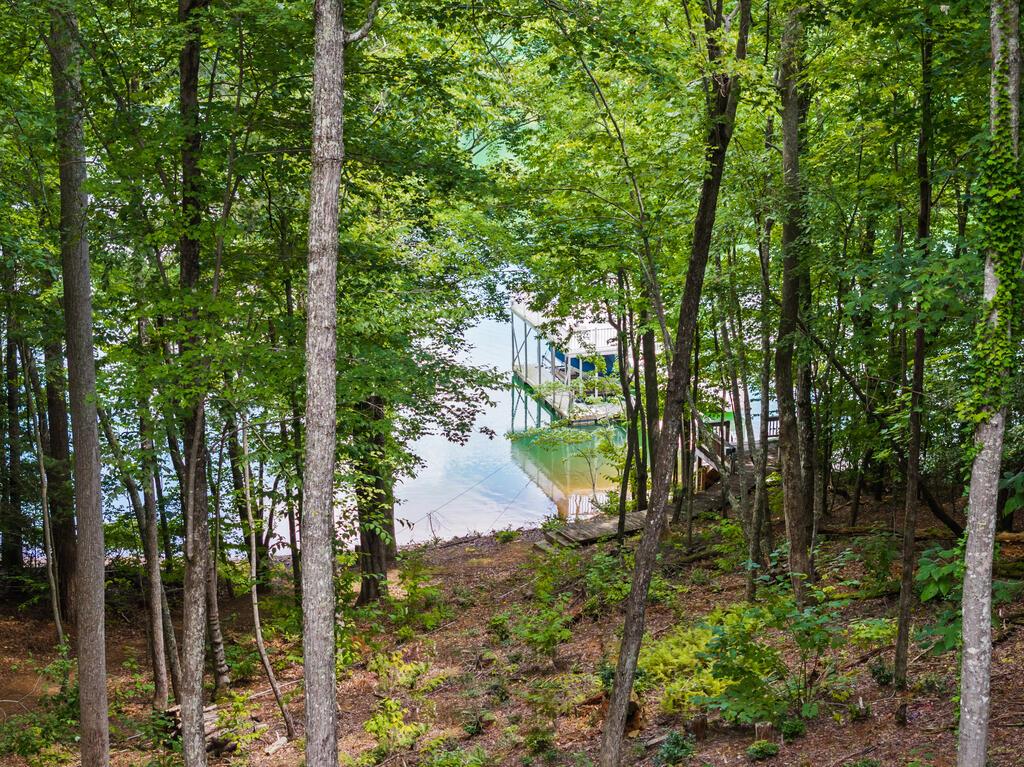 281 Pine Cone Road