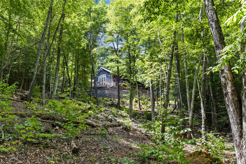 281 Pine Cone Road