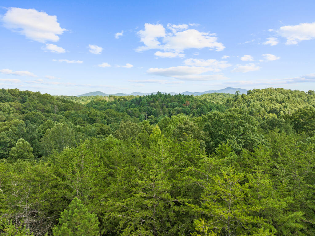 lot 6 Timber Lane Court