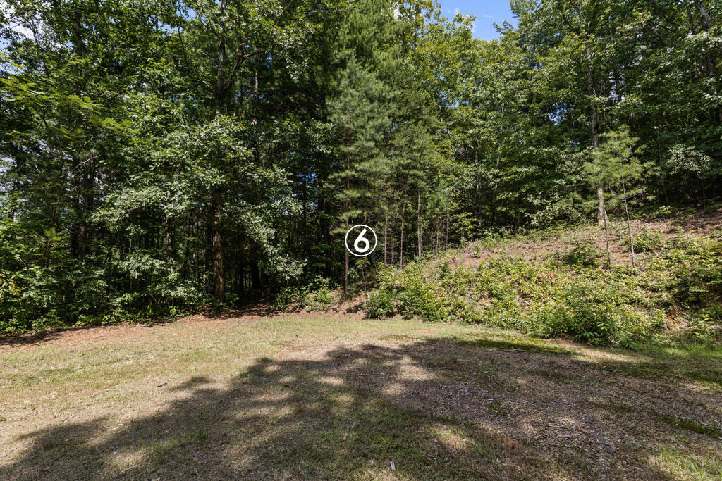 lot 6 Timber Lane Court