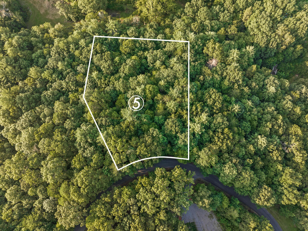 Aerial view of wooded Lot 5, outlined in white beside a curving road.