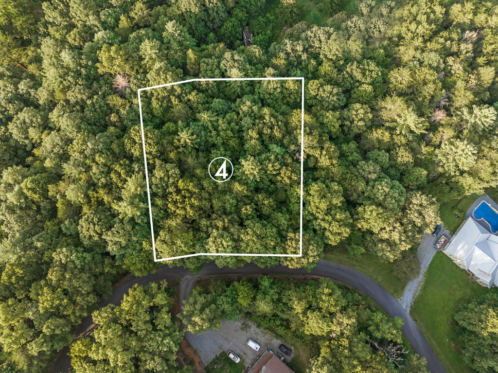 Wooded Lot 4 outlined from above, with a curved road along its southern edge.