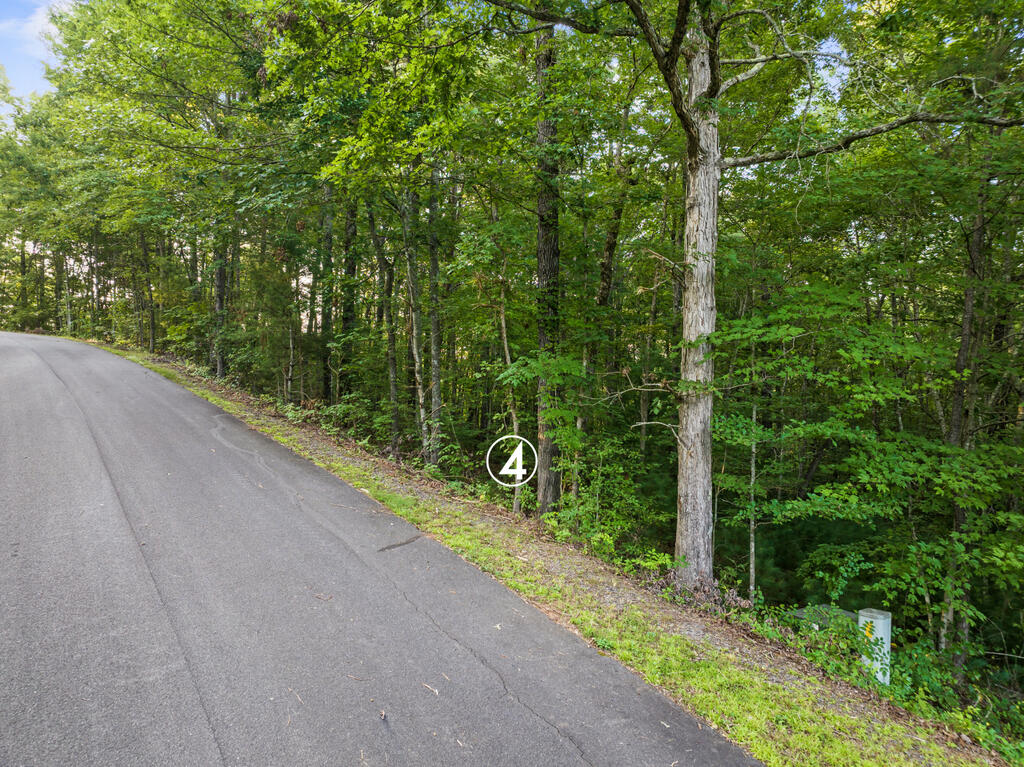 Wooded lot 4 beside a paved road, marked by a circled number 4.