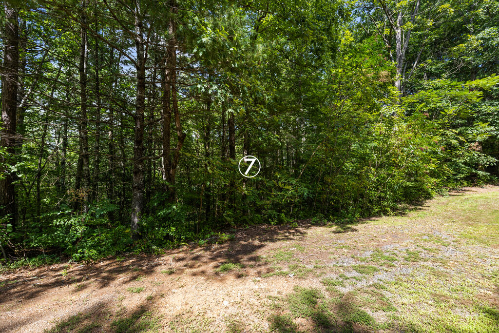 Wooded lot beside a gravel clearing, marked with a circled 7.