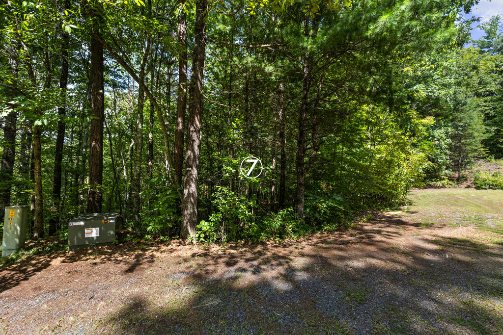 Wooded vacant lot marked 7 beside a gravel clearing, with utility boxes at the roadside.