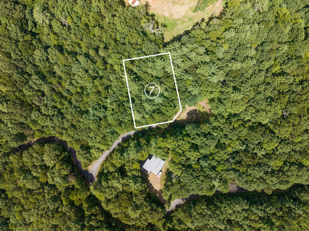 Aerial view of wooded Lot 7 outlined beside a winding road and creek.