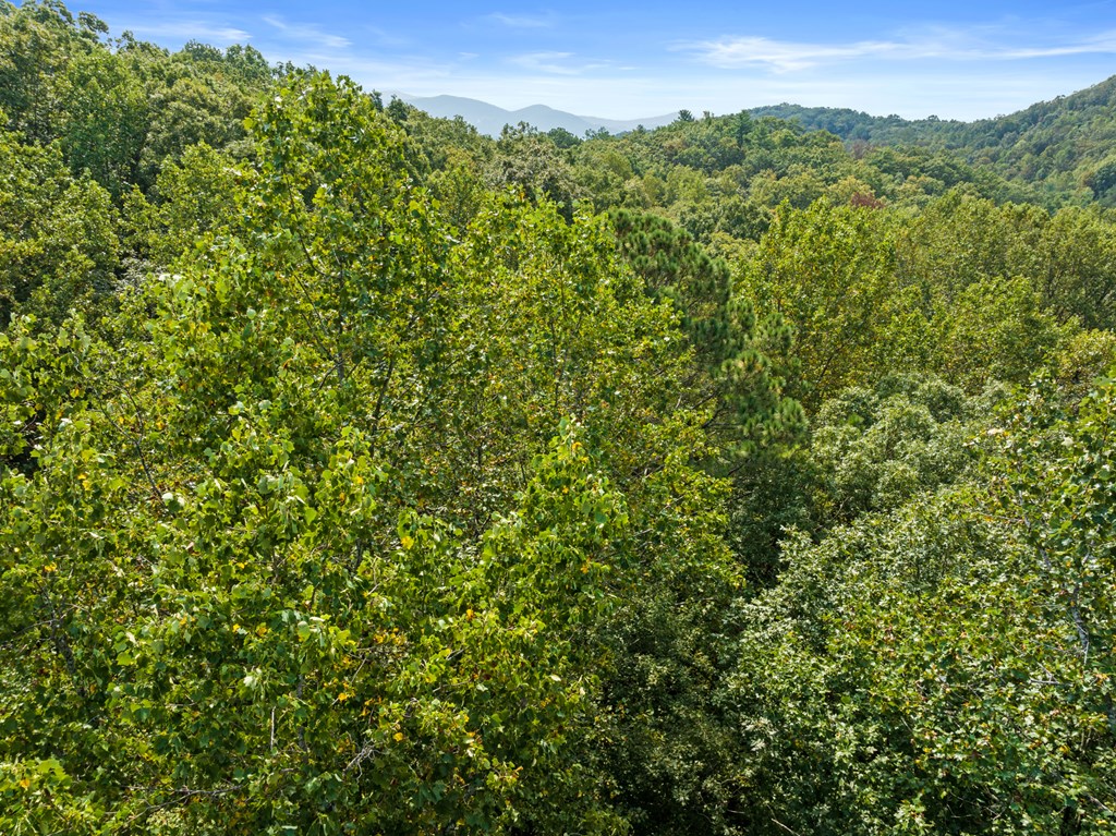 Wooded hills and distant mountain ridges beyond a dense green forest canopy.